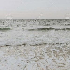 Meet your Posher, Alison